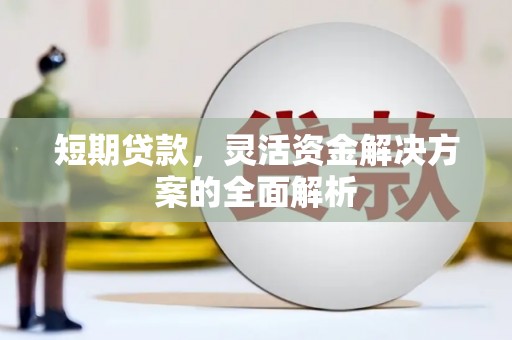 隆子短期贷款，灵活资金解决方案的全面解析