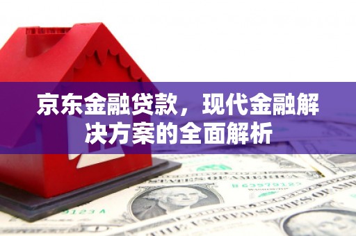 隆子京东金融贷款，现代金融解决方案的全面解析