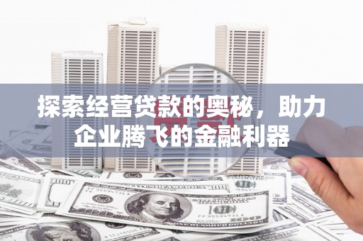 隆子探索经营贷款的奥秘，助力企业腾飞的金融利器