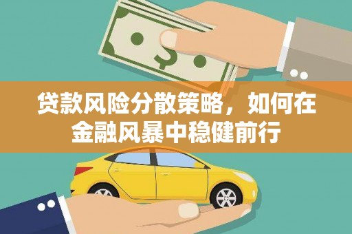 隆子贷款风险分散策略，如何在金融风暴中稳健前行