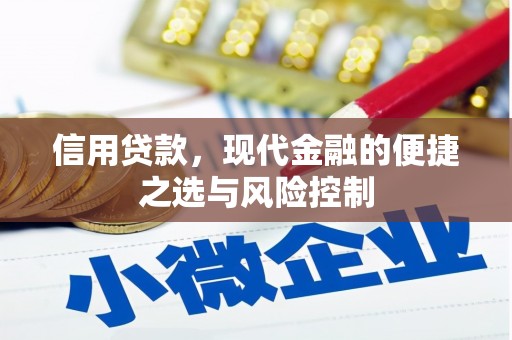隆子信用贷款，现代金融的便捷之选与风险控制