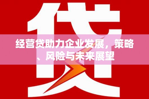隆子经营贷助力企业发展，策略、风险与未来展望