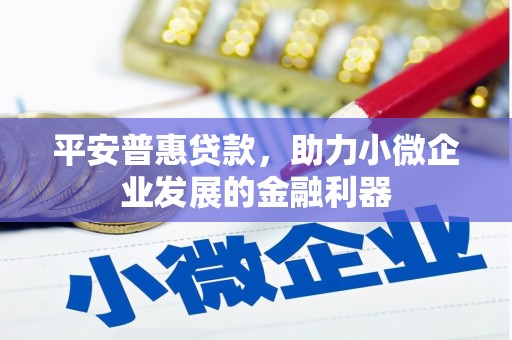 隆子平安普惠贷款，助力小微企业发展的金融利器