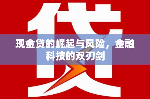 隆子现金贷的崛起与风险，金融科技的双刃剑