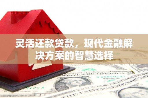 隆子灵活还款贷款，现代金融解决方案的智慧选择