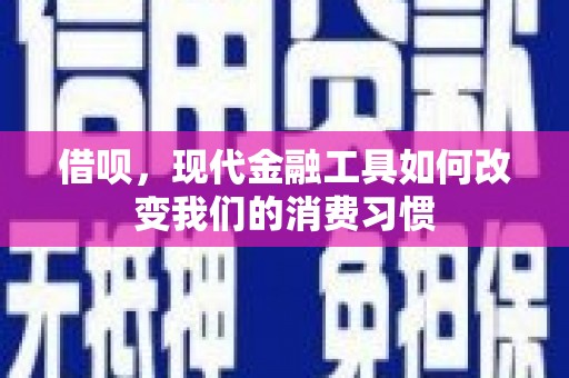 隆子借呗，现代金融工具如何改变我们的消费习惯