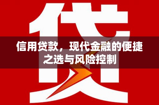 隆子信用贷款，现代金融的便捷之选与风险控制