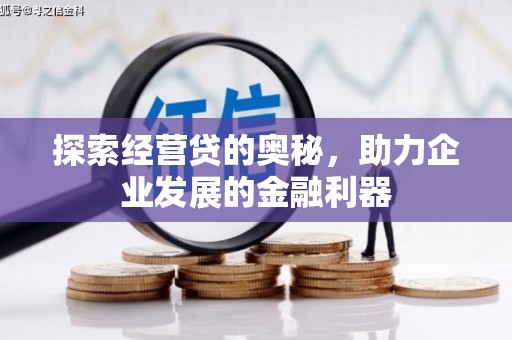 隆子探索经营贷的奥秘，助力企业发展的金融利器