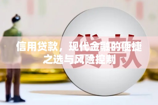 隆子信用贷款，现代金融的便捷之选与风险控制