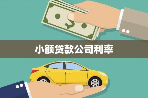 隆子小额贷款公司利率