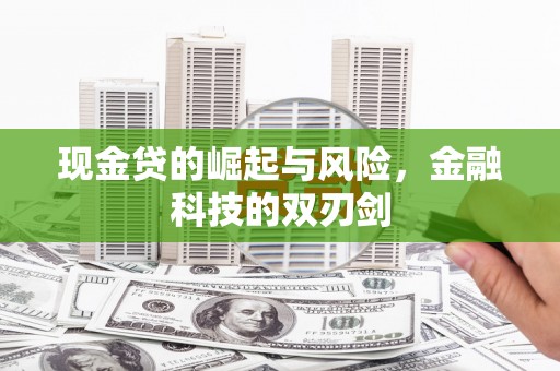 隆子现金贷的崛起与风险，金融科技的双刃剑