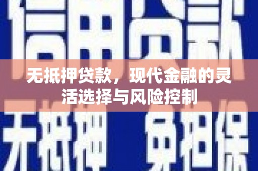 隆子无抵押贷款，现代金融的灵活选择与风险控制
