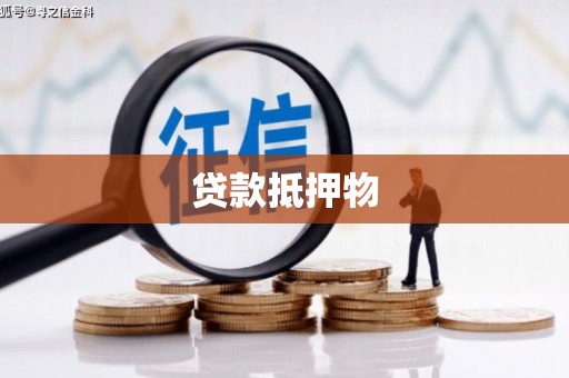 隆子贷款抵押物