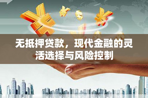 隆子无抵押贷款，现代金融的灵活选择与风险控制