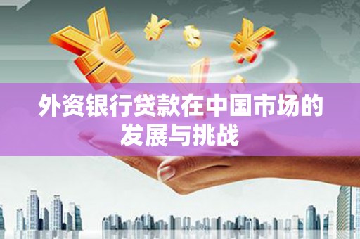 隆子外资银行贷款在中国市场的发展与挑战