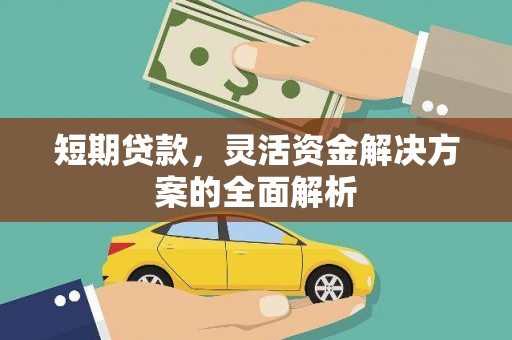 隆子短期贷款，灵活资金解决方案的全面解析