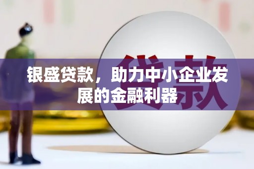 隆子银盛贷款，助力中小企业发展的金融利器