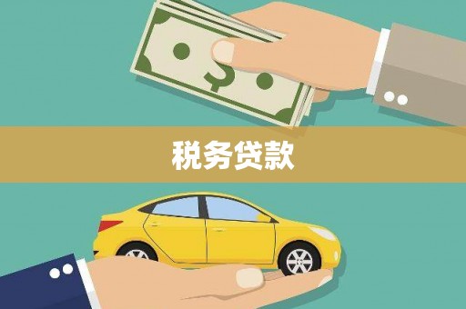 隆子税务贷款