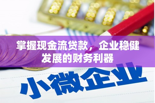 隆子掌握现金流贷款，企业稳健发展的财务利器