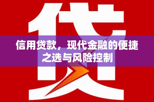 隆子信用贷款，现代金融的便捷之选与风险控制
