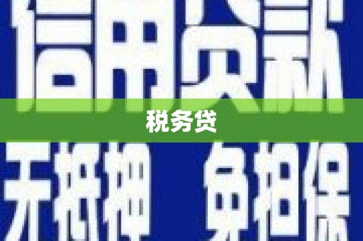 隆子税务贷