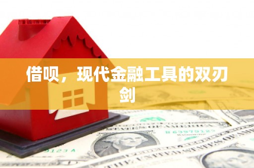 隆子借呗，现代金融工具的双刃剑