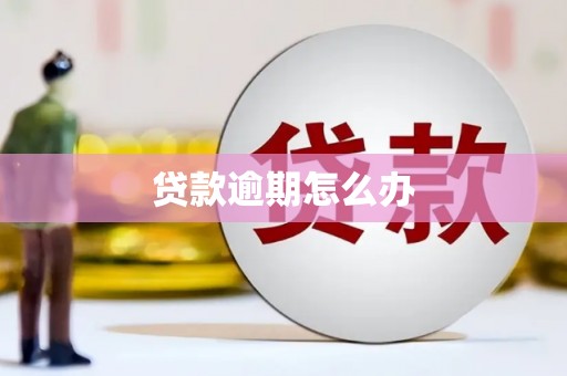 隆子贷款逾期怎么办