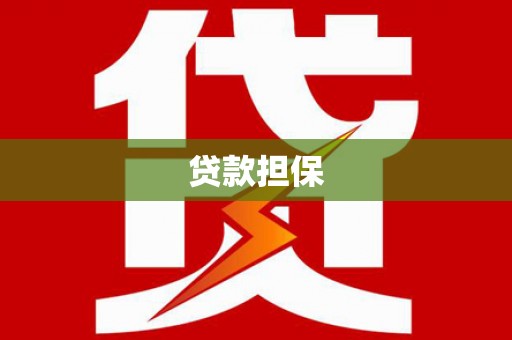 隆子贷款担保