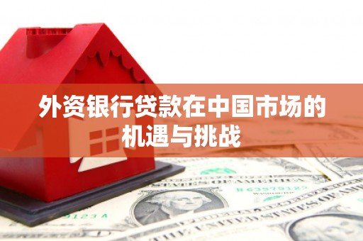 隆子外资银行贷款在中国市场的机遇与挑战