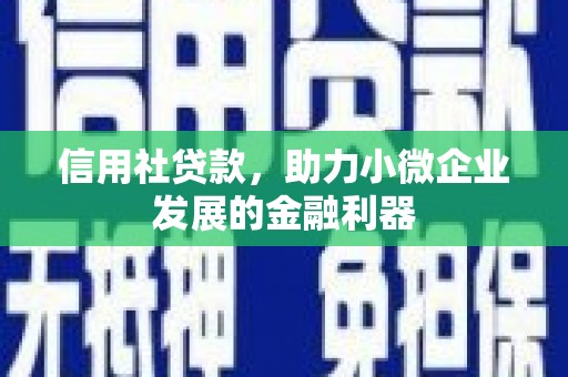 隆子信用社贷款，助力小微企业发展的金融利器