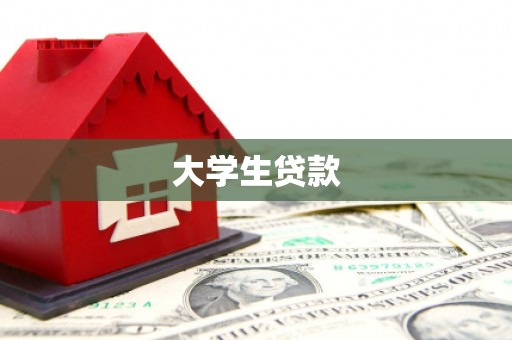 隆子大学生贷款