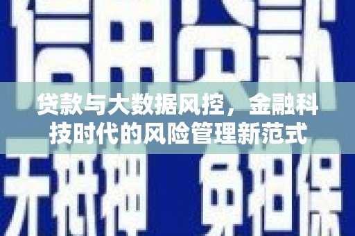 隆子贷款与大数据风控，金融科技时代的风险管理新范式