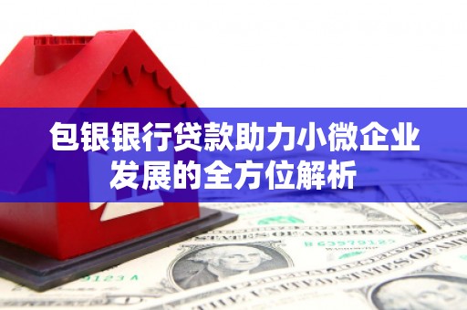 隆子包银银行贷款助力小微企业发展的全方位解析