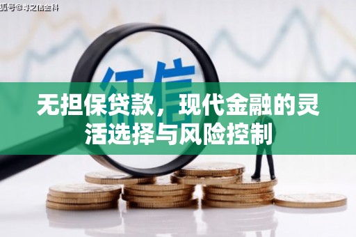 隆子无担保贷款，现代金融的灵活选择与风险控制