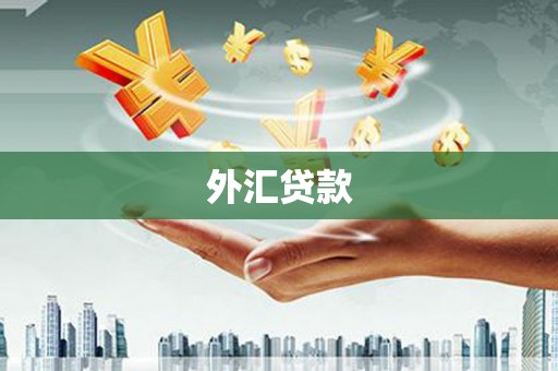 隆子外汇贷款