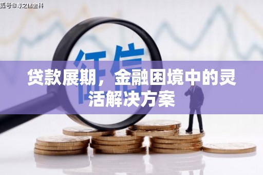隆子贷款展期，金融困境中的灵活解决方案