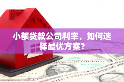 隆子小额贷款公司利率，如何选择最优方案？