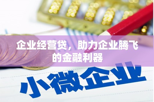 隆子企业经营贷，助力企业腾飞的金融利器