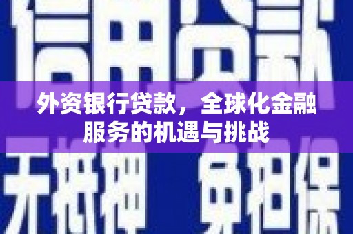 隆子外资银行贷款，全球化金融服务的机遇与挑战