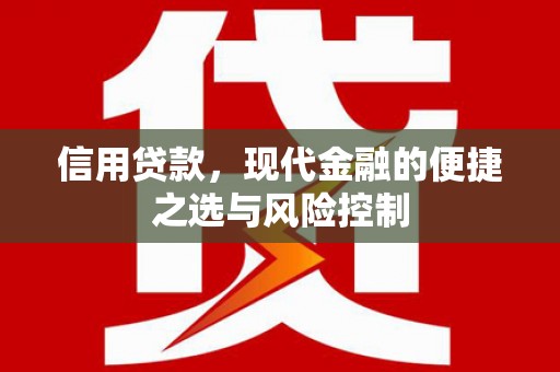 隆子信用贷款，现代金融的便捷之选与风险控制