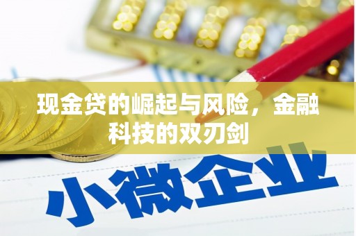 隆子现金贷的崛起与风险，金融科技的双刃剑