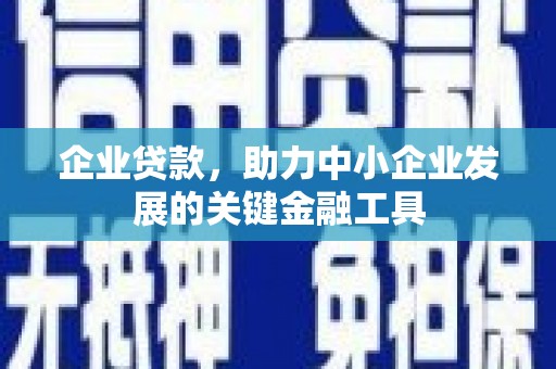隆子企业贷款，助力中小企业发展的关键金融工具