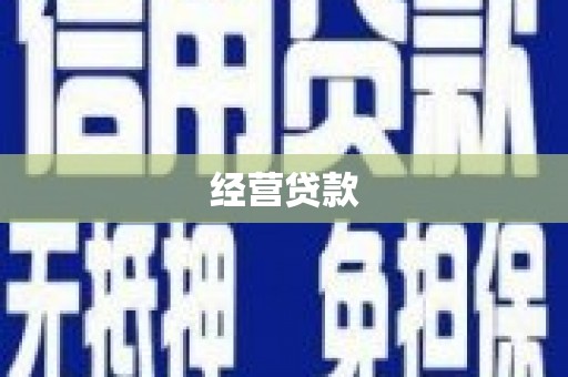 隆子经营贷款
