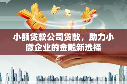 隆子小额贷款公司贷款，助力小微企业的金融新选择