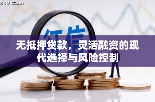 隆子无抵押贷款，灵活融资的现代选择与风险控制