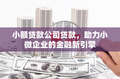 隆子小额贷款公司贷款，助力小微企业的金融新引擎