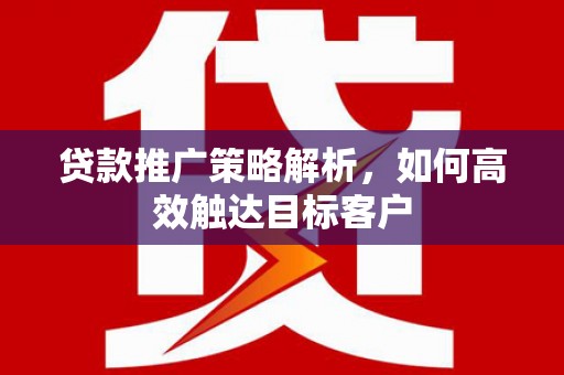 隆子贷款推广策略解析，如何高效触达目标客户