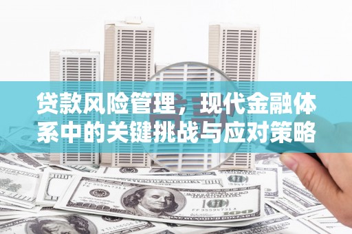 隆子贷款风险管理，现代金融体系中的关键挑战与应对策略