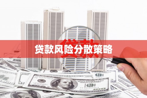隆子贷款风险分散策略