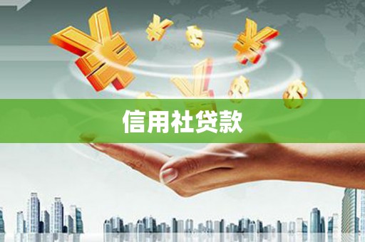 隆子信用社贷款